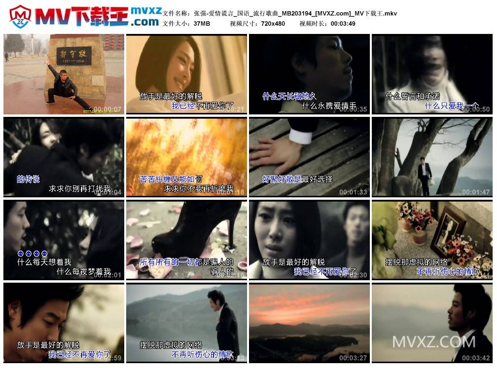 张强-爱情谎言_国语_流行歌曲_MB203194